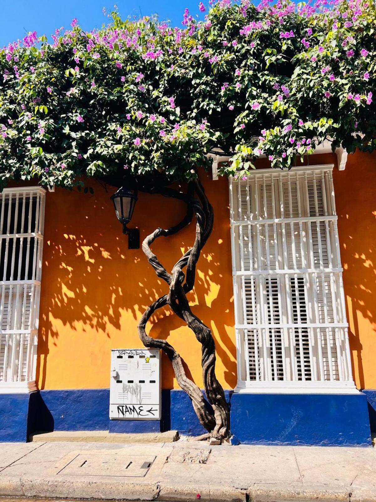 Apartamento Casa Manalva Ocean View Penthouse In Walled Cartagena